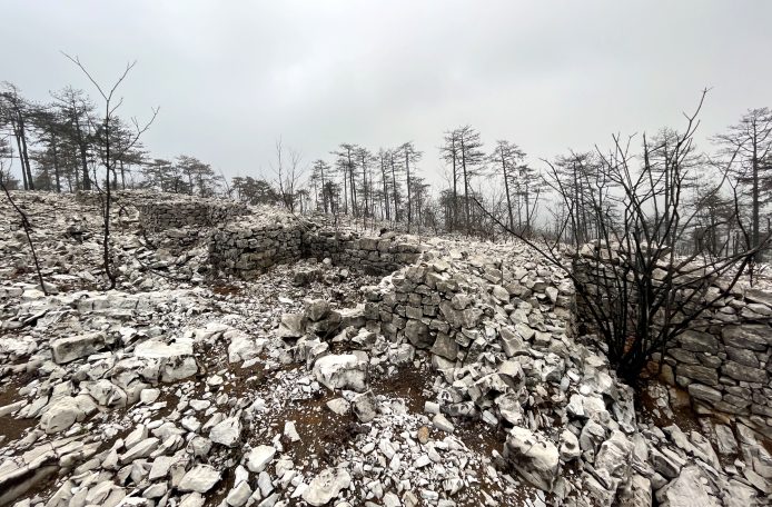 Barren rocky landscape with scattered trees and a misty, overcast sky.