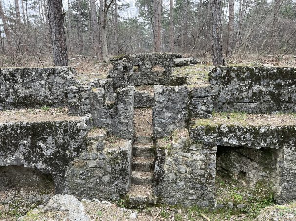 Stone ruins with steps set in a wooded area, partially covered in moss.