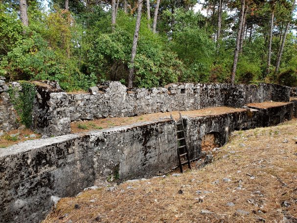 Ruins of an old stone structure surrounded by trees and dry grass.