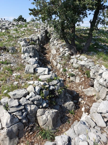 A narrow stone pathway bordered by rocky terrain and sparse vegetation.