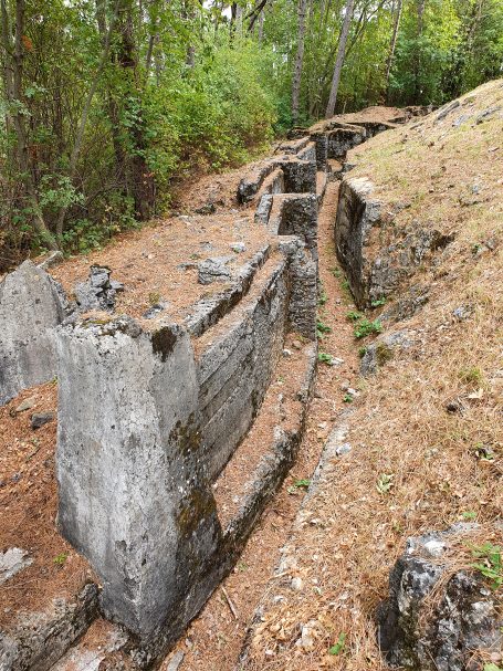 Overgrown trench with concrete remnants and earthy path surrounded by trees.
