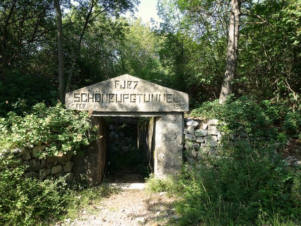 Overgrown stone entrance to a tunnel, surrounded by trees and foliage.