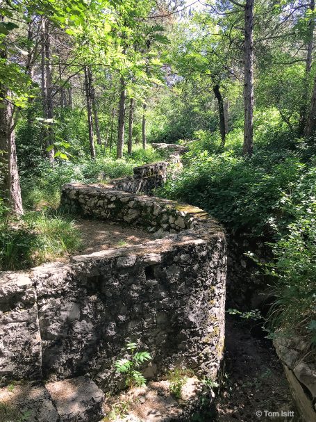Overgrown stone paths winding through a lush green forest.