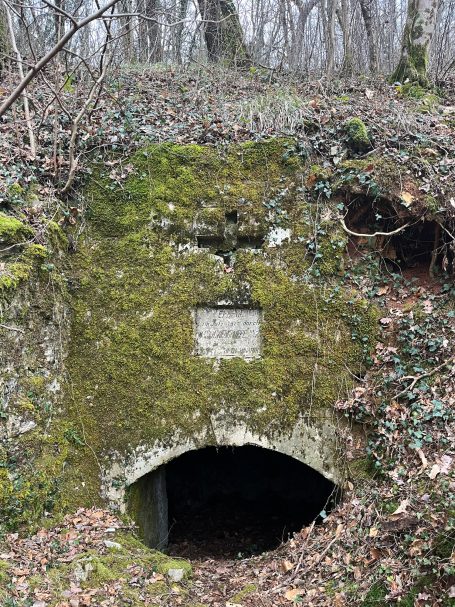 Overgrown stone structure with a moss-covered facade resembling a face.